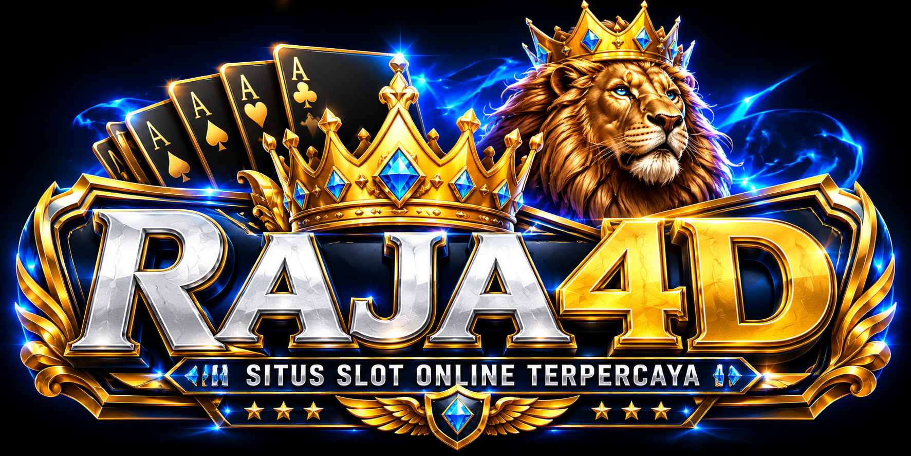 RAJA4D System